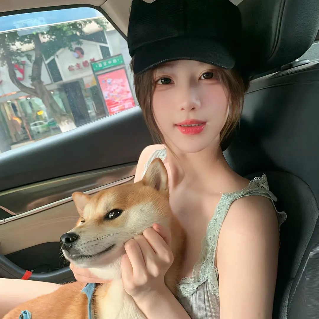 一个城市的决定