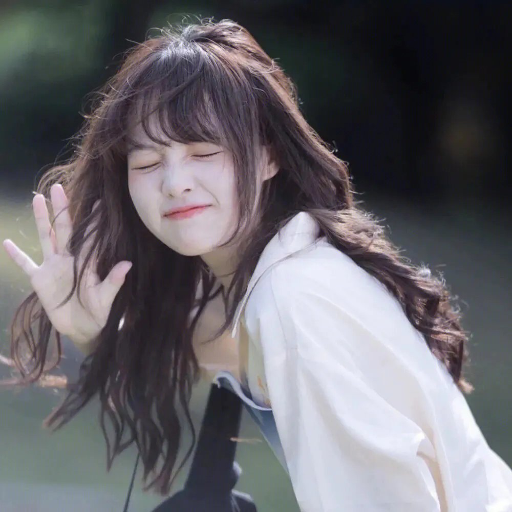 汪汪队立大功第八季